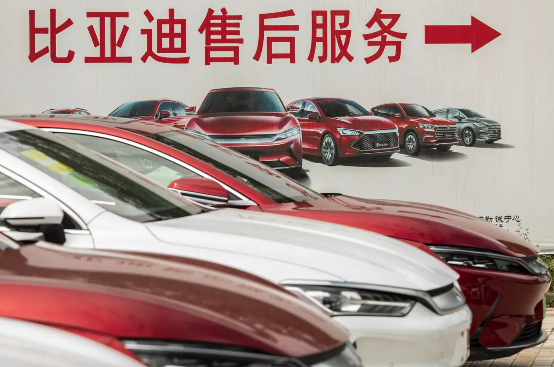 Biểu đồ cổ phiếu BYD sụt giảm
